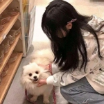 保护领域手游下载